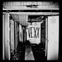 Vexx - CD - Preview