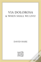 Capa do artigo Via Dolorosa