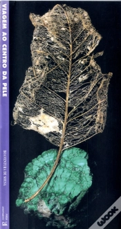Capa do artigo Viagem ao Centro da Pele