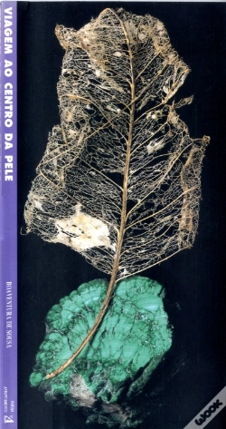 Capa do artigo Viagem ao Centro da Pele