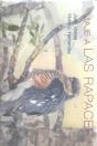 Viaje A Las Rapaces - Preview