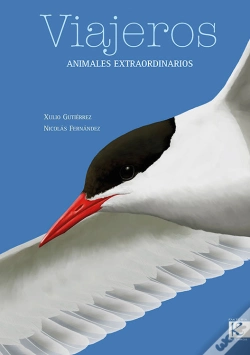 Capa do artigo Viajeros