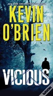 Capa do artigo Vicious
