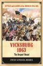 Vicksburg 1863 - Preview