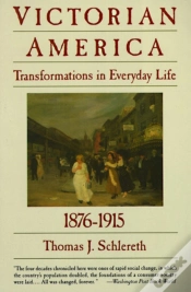 Capa do artigo Victorian America