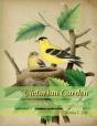 Victorian Garden - Preview