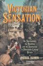 Victorian Sensation - Preview