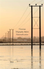 Victorian Telegraphy Before Nationalization - Preview