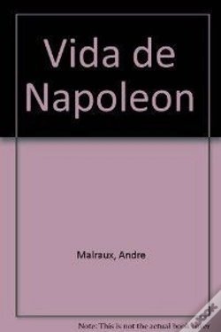 Capa do artigo Vida De Napoleón