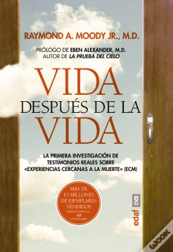Capa do artigo Vida Después De La Vida