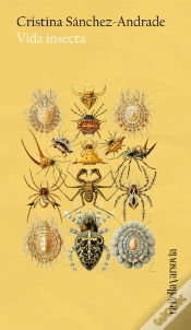 Capa do artigo Vida Insecta