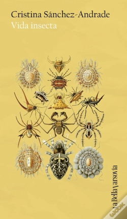 Capa do artigo Vida Insecta