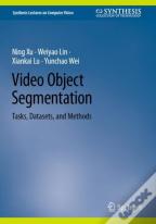 Video Object Segmentation