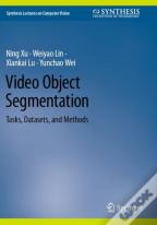 Video Object Segmentation