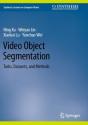 Video Object Segmentation - Preview