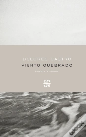 Capa do artigo Viento Quebrado