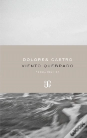Capa do artigo Viento Quebrado