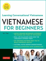 Capa do artigo Vietnamese For Beginners