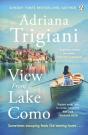 View From Lake Como - Preview