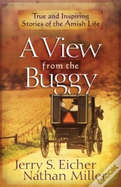 Capa do artigo View From The Buggy