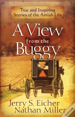 Capa do artigo View From The Buggy