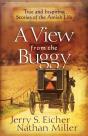 View From The Buggy - Preview
