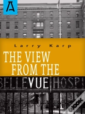 Capa do artigo View From The Vue