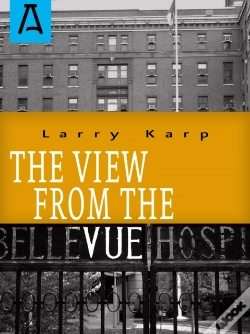 Capa do artigo View From The Vue