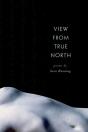 View From True North - Preview