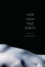 View From True North - Preview