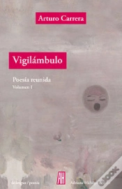 Capa do artigo Vigilámbulo