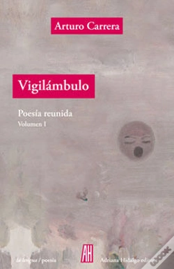 Capa do artigo Vigilámbulo