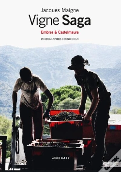 Capa do artigo Vigne Saga