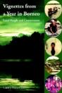 Vignettes From A Year In Borneo - Preview