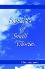 Vignettes Of Small Glories - Preview
