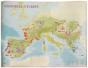 Vignoble D'Europe - Preview