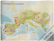 Capa do artigo Vignoble D