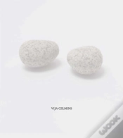 Capa do artigo Vija Celmins