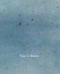 Vija Celmins - Preview