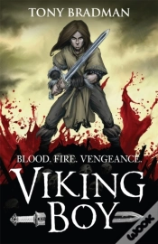 Capa do artigo Viking Boy