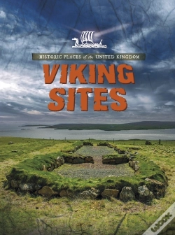 Capa do artigo Viking Sites