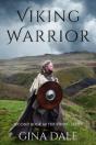 Viking Warrior - Preview