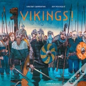 Capa do artigo Vikings !