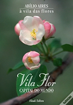 Capa do artigo Vila Flor