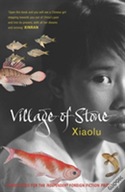 Capa do artigo Village Of Stone