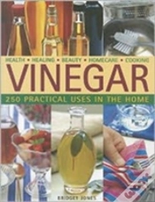 Capa do artigo Vinegar