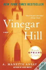 Capa do artigo Vinegar Hill