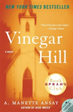 Capa do artigo Vinegar Hill