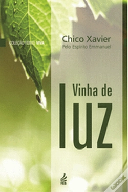 Capa do artigo Vinha de Luz