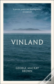 Capa do artigo Vinland
